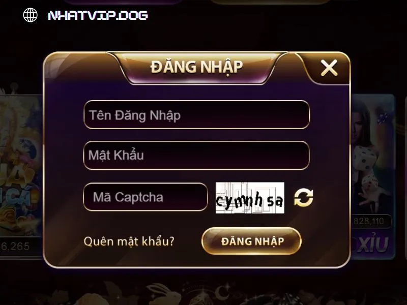 Nhập thông tin đăng nhập